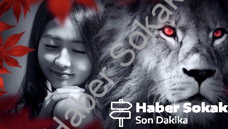 Gizemli Hayvanlarla Tanışın