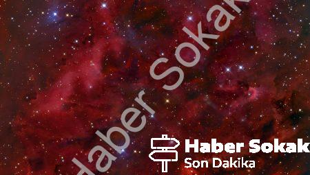Astroloji: Her burç için şifalı tavsiyeler