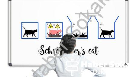 Makrokuantum etkilerinin gizemi