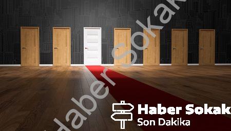 Nöral Ağ Bağlantıları: İnsan Beyninin Karmaşıklığını Çözmek