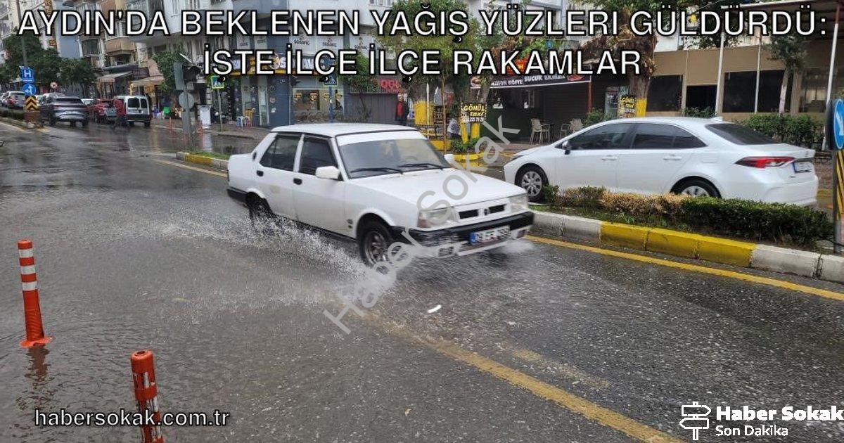 "Aydın'da Beklenen Yağış Yüzleri Güldürdü: İşte İlçe İlçe Rakamlar" başlıklı haber için fotorealisti