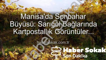 Manisa’da Sonbahar Büyüsü: Sarıgöl Bağlarında Kartpostallık Görüntüler Eşliğinde Budama Sezonu Başladı