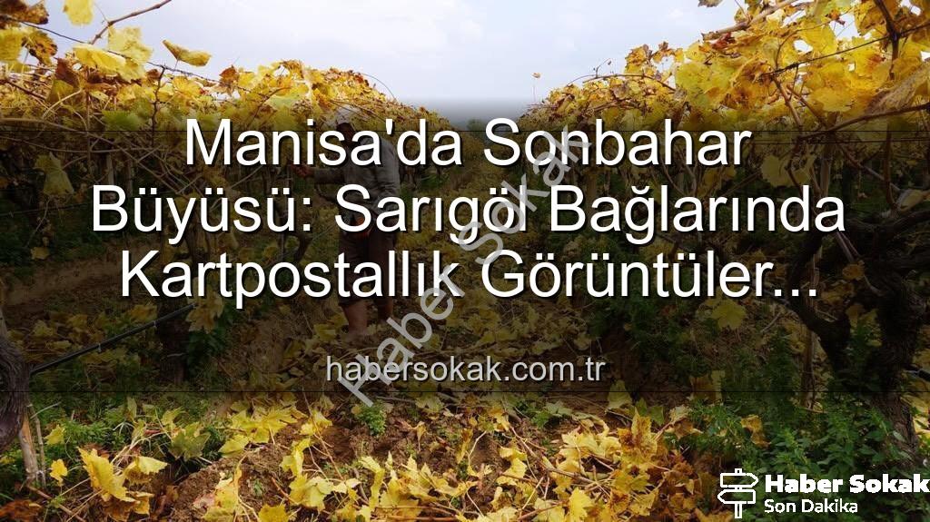 Sarıgöl bağları - Manisa'da Sonbahar Büyüsü: Sarıgöl Bağlarında Kartpostallık Görüntüler Eşliğinde Budama Sezonu Başladı