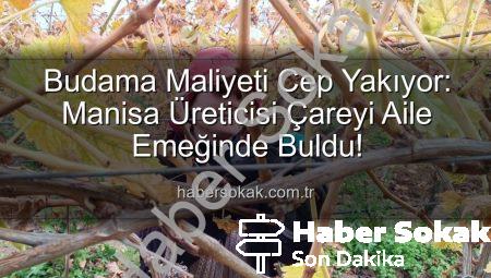 Budama Maliyeti Cep Yakıyor: Manisa Üreticisi Çareyi Aile Emeğinde Buldu!
