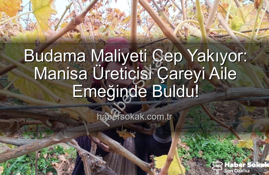 üzüm budama maliyeti - Budama Maliyeti Cep Yakıyor: Manisa Üreticisi Çareyi Aile Emeğinde Buldu!