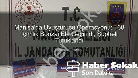 Manisa’da Uç Bonzai Operasyonu: 168 Doz Ele Geçirildi, Şüpheli Tutuklandı