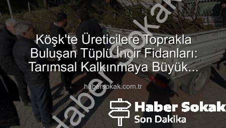 Köşk’te Üreticilere Toprakla Buluşan Tüplü İncir Fidanları: Tarımsal Kalkınmaya Büyük Destek
