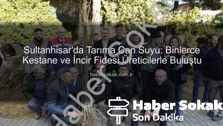 Sultanhisar’da Tarıma Can Suyu: Binlerce Kestane ve İncir Fidesi Üreticilerle Buluştu