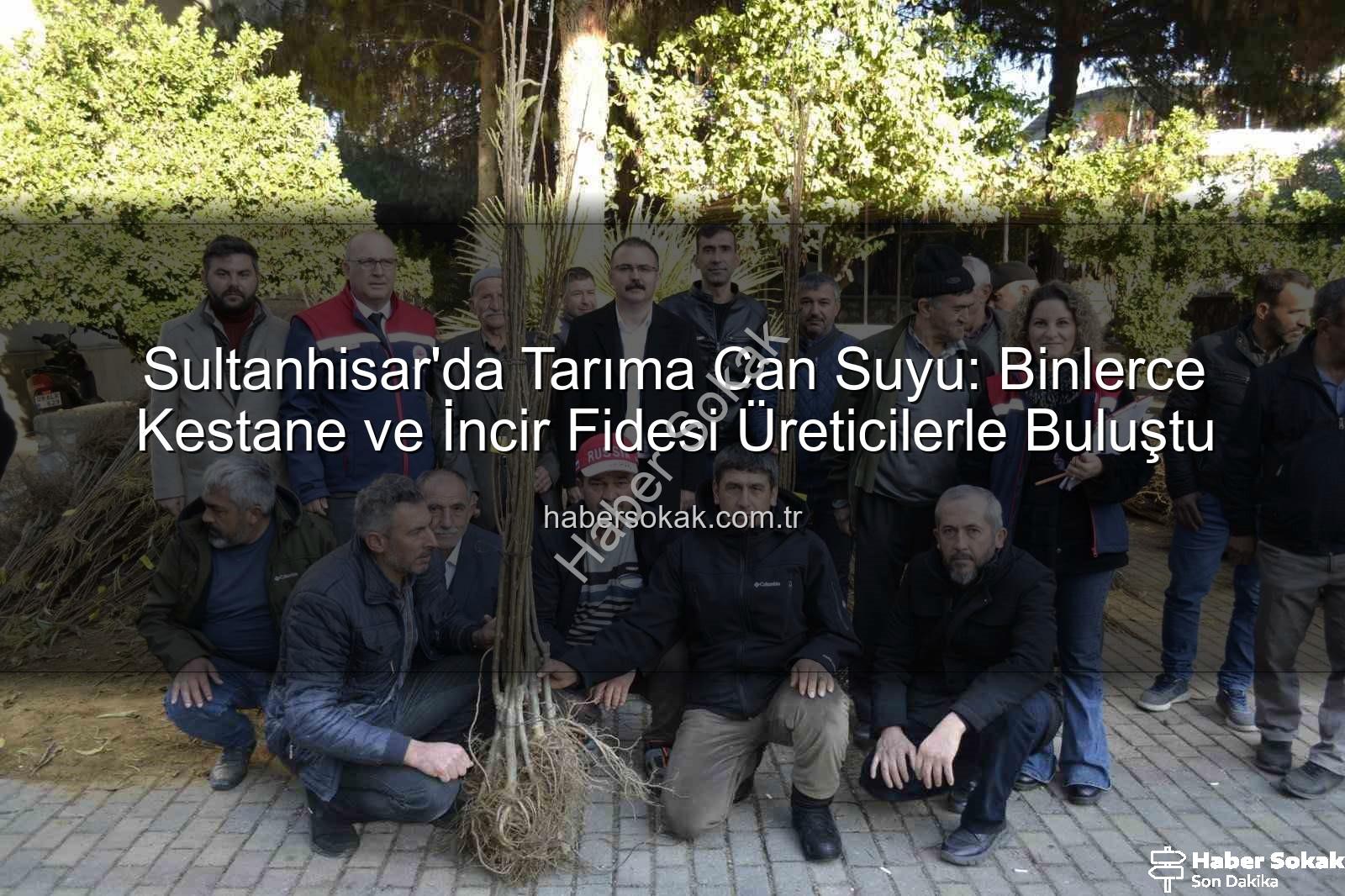 Sultanhisar kestane incir fidesi - Sultanhisar'da Tarıma Can Suyu: Binlerce Kestane ve İncir Fidesi Üreticilerle Buluştu