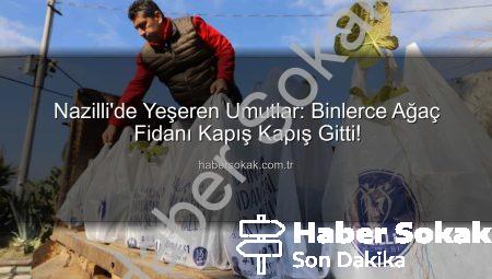 Nazilli’de Yeşeren Umutlar: Binlerce Ağaç Fidanı Kapış Kapış Gitti!