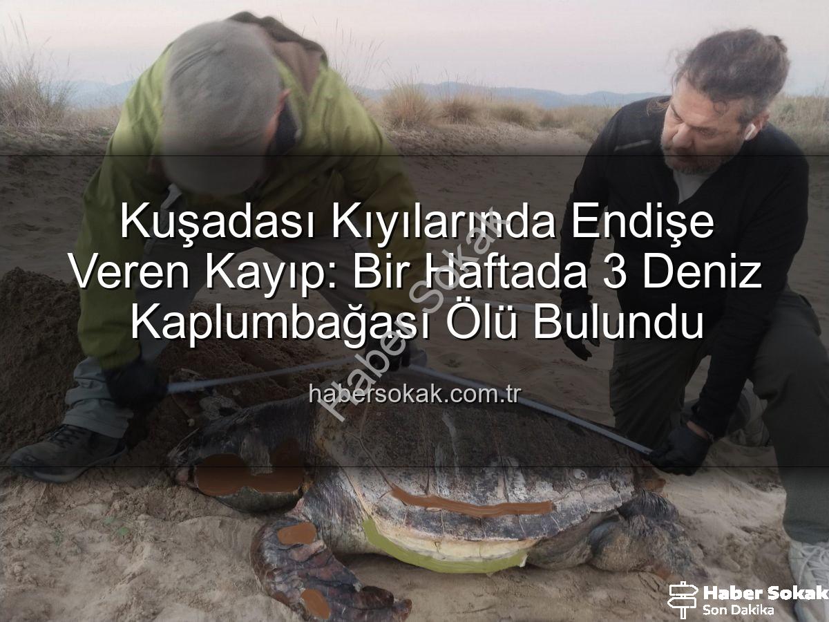 deniz kaplumbağası ölümü - Kuşadası Kıyılarında Endişe Veren Kayıp: Bir Haftada 3 Deniz Kaplumbağası Ölü Bulundu