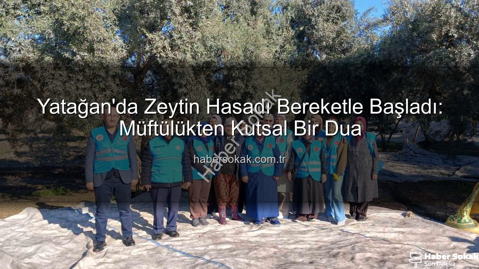 Yatağan zeytin hasadı - Yatağan'da Zeytin Hasadı Bereketle Başladı: Müftülükten Kutsal Bir Dua