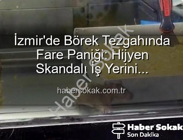 börek tezgahında fare - İzmir'de Börek Tezgahında Fare Paniği: Hijyen Skandalı İş Yerini Mühürletti!