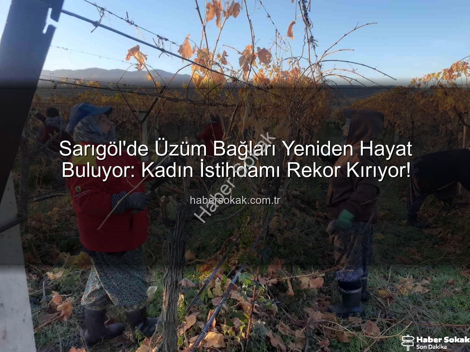 kadın istihdamı - Sarıgöl'de Üzüm Bağları Yeniden Hayat Buluyor: Kadın İstihdamı Rekor Kırıyor!