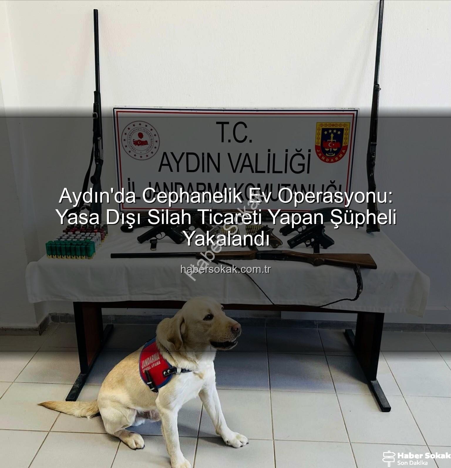 yasa dışı silah ticareti - Aydın'da Cephanelik Ev Operasyonu: Yasa Dışı Silah Ticareti Yapan Şüpheli Yakalandı