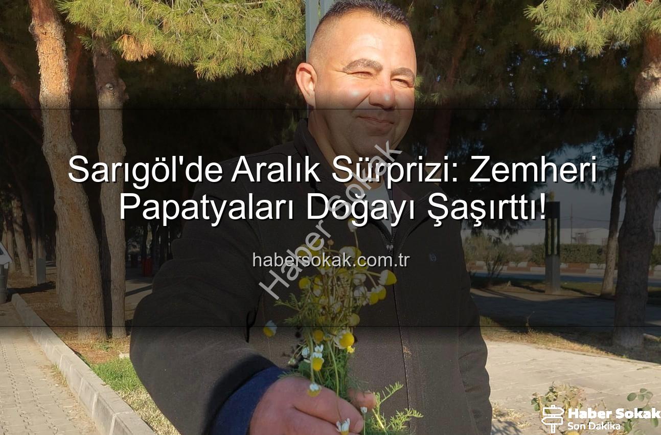 zemheri papatyaları - Sarıgöl'de Aralık Sürprizi: Zemheri Papatyaları Doğayı Şaşırttı!